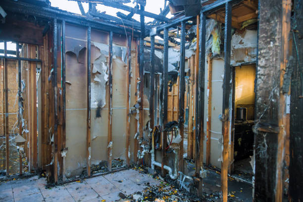 Professional Smoke Damage Removal technician working in North Auburn, CA